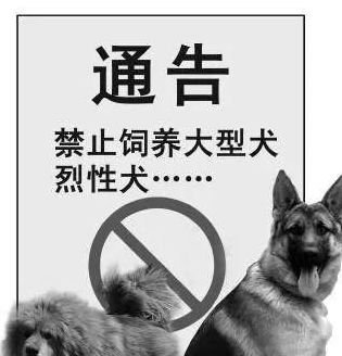 50种禁养犬 即日起,驻马店养犬户限时解决违法所养犬只