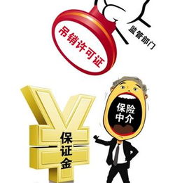 什么是保险公司的资本保证金？