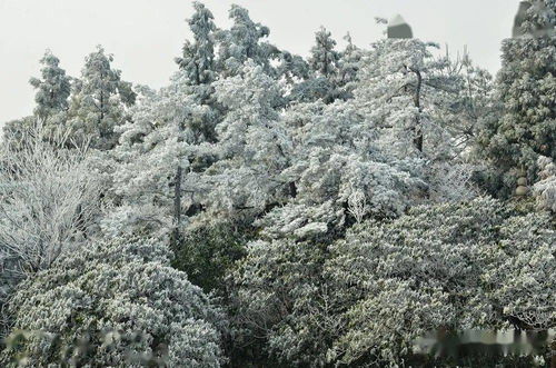 雪后天台华顶山,仿佛人间仙境