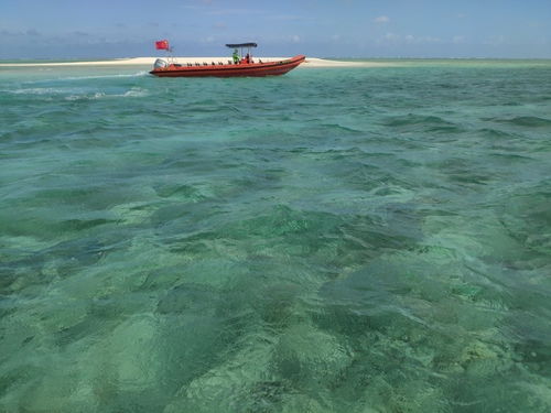 为什么选马尔代夫旅游 马尔代夫和西沙群岛哪个更漂亮