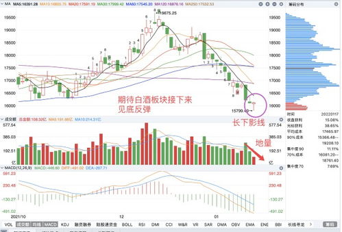 投资数字货币量化基金平台就真的就比买房子、买股票好？