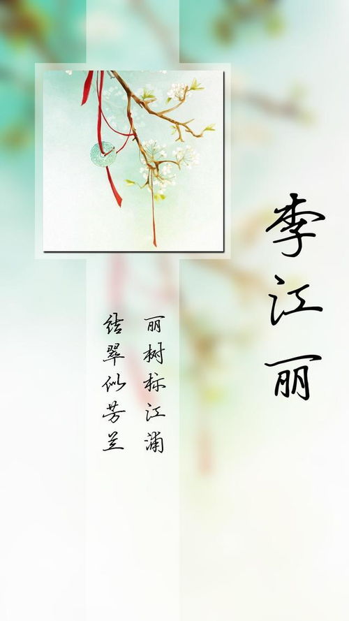 美字辈的名字（美字辈后面是什么）