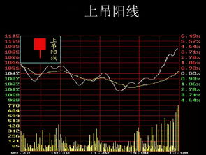 是否有什么机构可以帮助股民炒股，例举三个