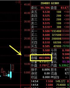 国债逆回购204001看5分钟还是30分钟k线卖好