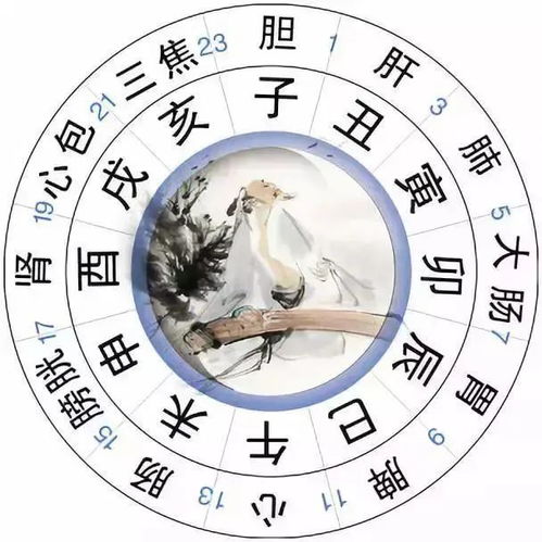 熬夜者,四个小方法,给你的肝 洗洗澡 ,排排毒