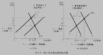 需求的价格弹性的概念，以及它们的大小意味着什么?