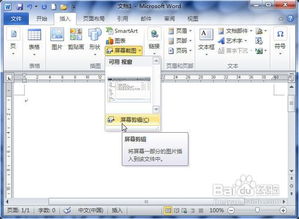 Word2010中怎样使用屏幕截图在文档中插入图片 