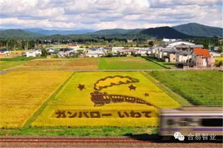 日本休闲农业旅游(日本休闲农业始于哪一年)