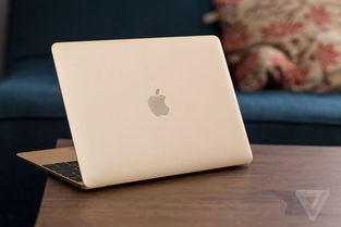 macbook 屏幕玻璃花了