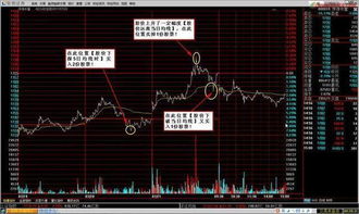 股票每次买100股，第二天以后什么时间都可以卖吗？