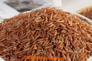 糙米的功效，糙米的功效与作用