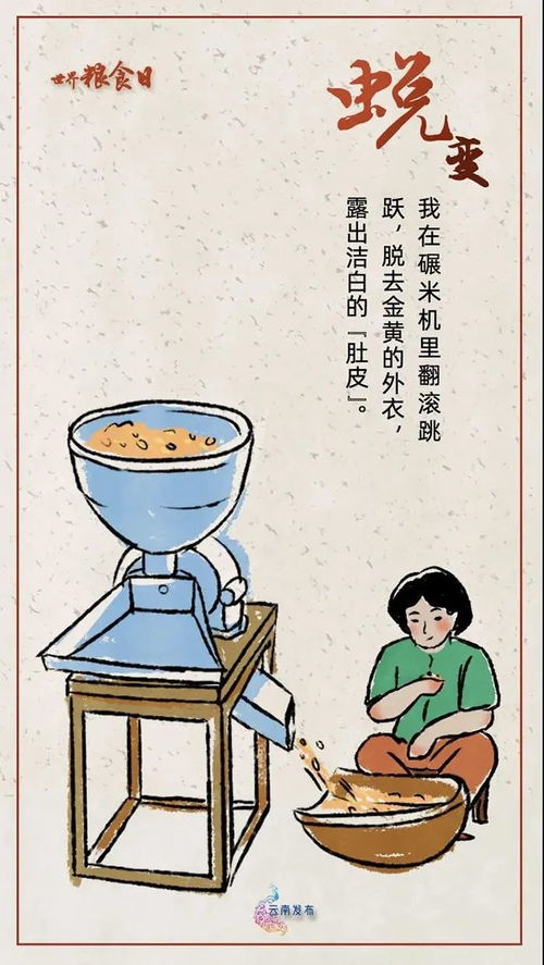 世界粮食日 请善待每一颗粮食