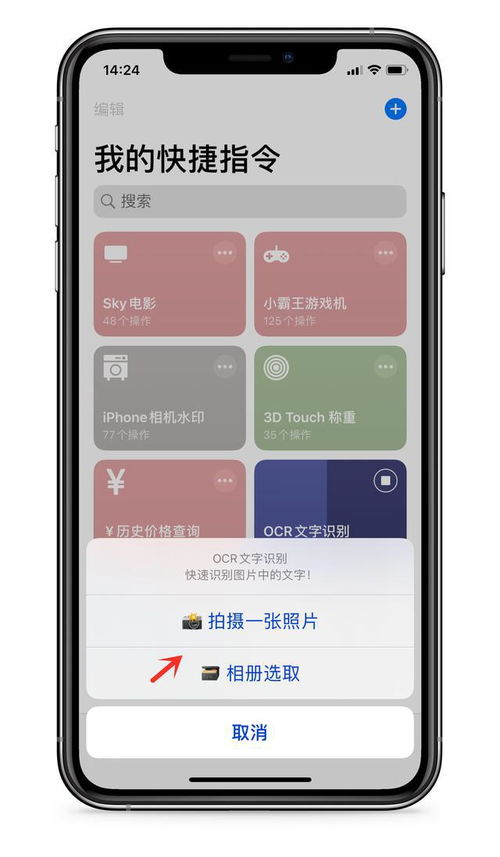 iPhone新功能,一键获取图片文字,非常方便