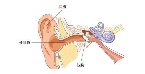 宝宝耳朵能不能掏 耳朵进水该怎么办 这样做可致宝宝听力受损