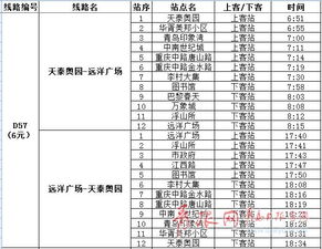 论文手工查重服务：量身定制的检查方案