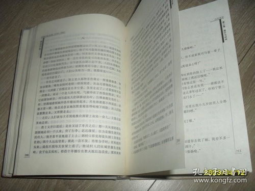 中国小说50强 日光流年
