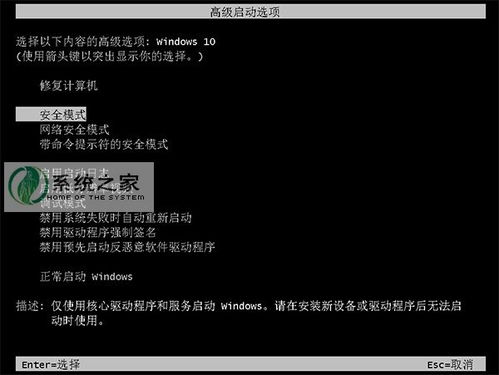 win10命令行终端怎么进入