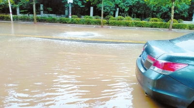 郑州这条路一下雨就积水,原因已明了 