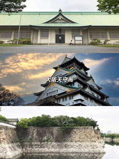 日本旅游区有哪些地方(去日本旅游去哪些地方)