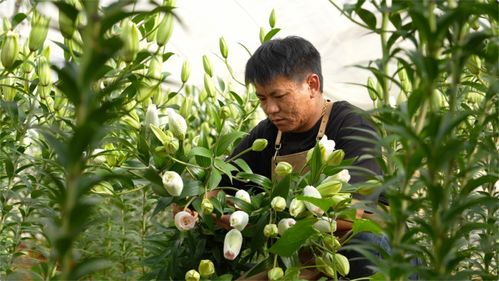 滨化集团社招好进吗