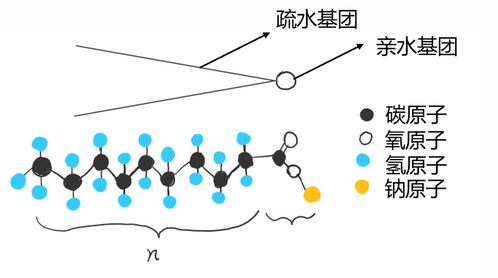 肥皂泡是怎么诞生的 为啥在阳光下是五颜六色的呢