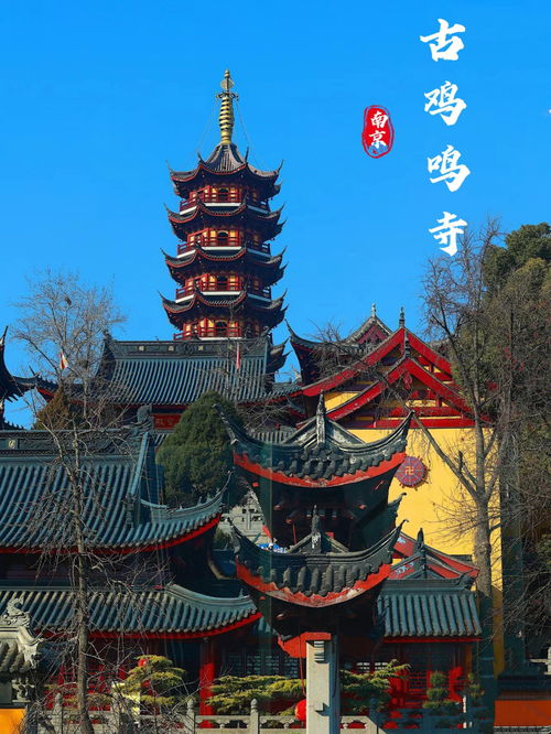 来南京必去的鸡鸣寺和南京夫子庙一日游 