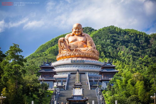 中国佛教第五大名山供奉世界最大弥勒佛,高56.7米重500吨 