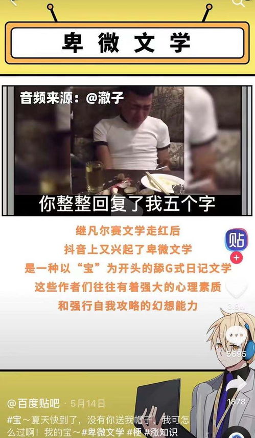 卑微文学意思