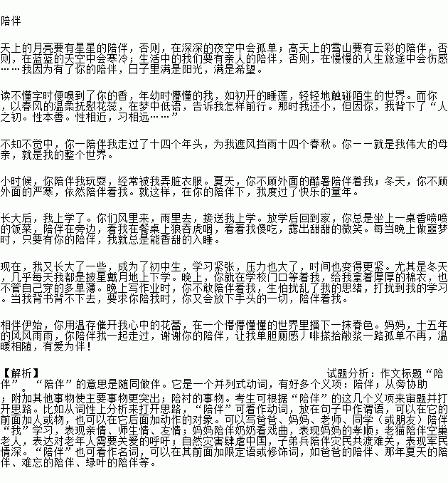 以陪伴为题的作文