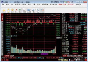 哪个公司或者工作室能开发炒股软件？ 类似同花顺或者大智慧这样的。