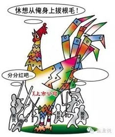 关于上市公司分红派息的疑问