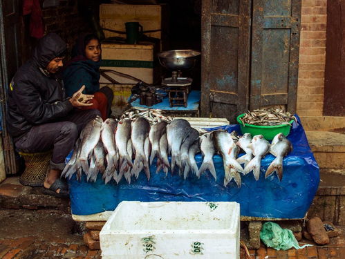 在农村集市买鱼,自己拿鱼回家宰,鱼贩为啥就会不卖了