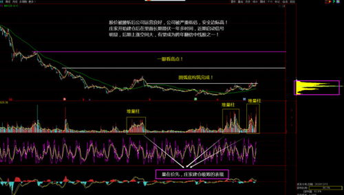 买了双汇发展股票，八十元一股，现在怎么办？如果双汇倒，那股票怎么办？真的股票变废纸吗？