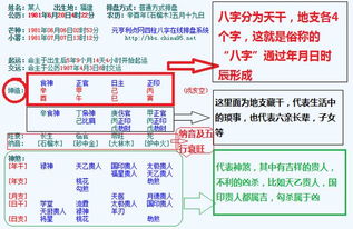 专业销售 八字合金钥匙扣 扁线圈多功能钥匙扣