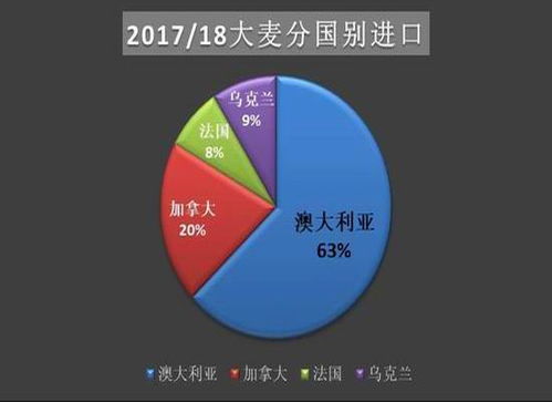 787彩票网——从互联网化角度解析现代数字游戏平台的发展与影响