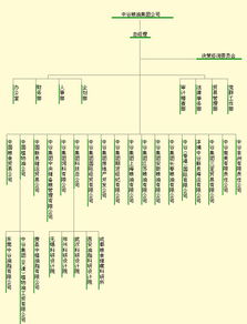 鞍山钢铁集团公司竞争劣势