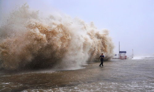 海水倒灌,海水倒灌是什么意思 海水倒灌解释(图2)