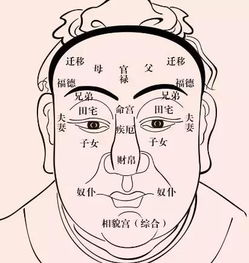 什么是好面相 看看外交部就知道了,中国男神天团