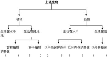 海洋生态系统中，数量最多的生物是什么。