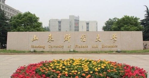 山东财经大学，山东理工大学图书馆为什么排名那么高