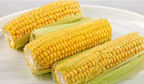 黑玉米和黄玉米的营养价值一样吗,白颗粒玉米与黄颗粒玉米的区别？
