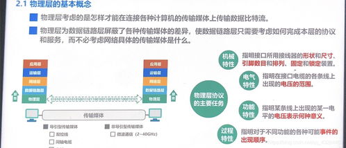 概念查重技巧分享：提高查重效率与质量