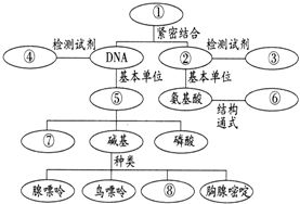 为什么说真核生物中的假基因不一定是假基因