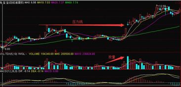 连续阴跌，量能逐步放大，卖盘上挂出天量卖单，什么情况？