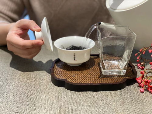 岩茶隔年喝,普洱放10年,新白茶寒凉 喝茶的偏见,该改观了