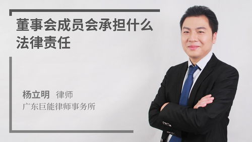 有限公司董事承担的法律责任是否与各自股份多少有关系