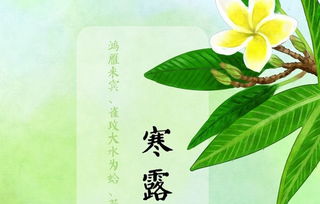 什么时间寒露节气(什么时间寒露节气啊)