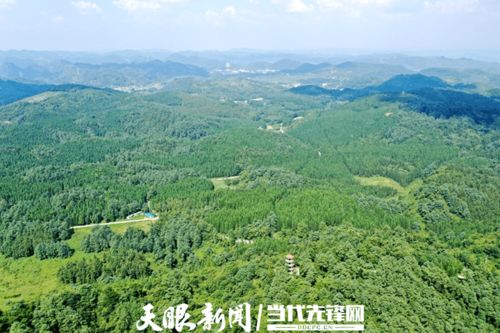 贵阳 四林经济 为 强省会 五年行动注入绿色活力