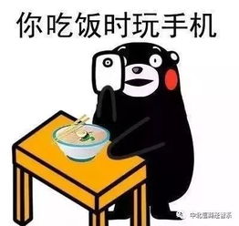 没有手机真的活不下去吗