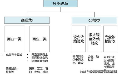 国有重点企业为什么要实行股份制改革